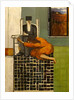 Elisha, 1999 by Richard McBee