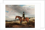 Equestrian Portrait of Andrew Berkeley Drummond in Cadland Park, 1822 by John E. Ferneley
