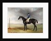 Cadland, 1830 by John E. Ferneley