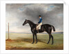 Cadland, 1830 by John E. Ferneley