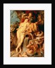 The Union of Earth and Water, c.1618 by Peter Paul Rubens