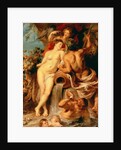 The Union of Earth and Water, c.1618 by Peter Paul Rubens