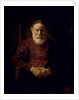 An Old Man in Red by Rembrandt Harmensz. van Rijn