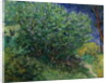 Lilac Bush, 1889 by Vincent van Gogh