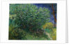 Lilac Bush, 1889 by Vincent van Gogh