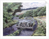 Jaguar XK150 Cruising by Clive Metcalfe