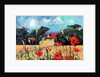 Kent Poppies, 2007 by Clive Metcalfe