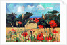 Kent Poppies, 2007 by Clive Metcalfe