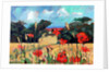 Kent Poppies, 2007 by Clive Metcalfe