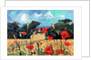 Kent Poppies, 2007 by Clive Metcalfe