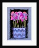 Sweet Peas, 2009 by Clive Metcalfe