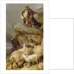 The Rescue, 1883 by Richard Ansdell