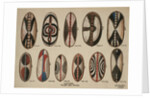 Uganda - Painted hide shields, 1909 by William Downing Webster
