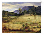Homesteads, c.1850 by Australasian School
