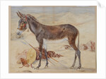 Mule by English School
