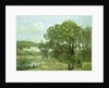 Ville d'Avray by Jean Baptiste Camille Corot