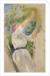 Girl gathering cherries, 1891 by Berthe Morisot