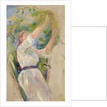 Girl gathering cherries, 1891 by Berthe Morisot