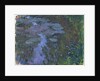 Nympheas by Claude Monet