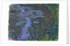 Nympheas by Claude Monet