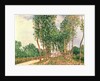 Banks of the Loing, near Moret by Alfred Sisley