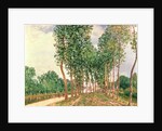 Banks of the Loing, near Moret by Alfred Sisley