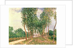 Banks of the Loing, near Moret by Alfred Sisley