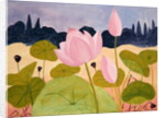 Lotus in the Garrigue, 1984 by Marie Hugo