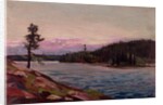 A Northern Canadian Lake by Thomas John Thomson