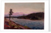 A Northern Canadian Lake by Thomas John Thomson