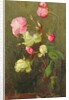Roses by Marianne Stokes