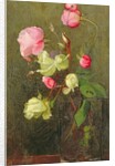 Roses by Marianne Stokes