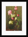 Roses by Marianne Stokes