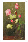 Roses by Marianne Stokes