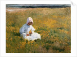 In a Field of Buttercups by Marianne Stokes