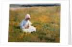 In a Field of Buttercups by Marianne Stokes