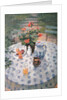 The Terrace, Escalerilla by Susan Ryder
