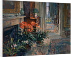 Clivia and Orchid by Susan Ryder
