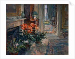 Clivia and Orchid by Susan Ryder