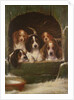 As snug as a bug in a rug by Valentine Thomas Garland