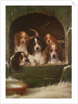 As snug as a bug in a rug by Valentine Thomas Garland