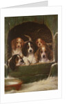 As snug as a bug in a rug by Valentine Thomas Garland