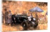 Garden Party with the Bentley by Peter Miller