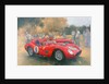 Ferrari, day out at Meadow Brook by Peter Miller