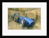 Bluebird at Brooklands by Peter Miller