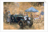 Garden party with the Bentley by Peter Miller