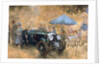Garden party with the Bentley by Peter Miller