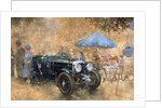 Garden party with the Bentley by Peter Miller