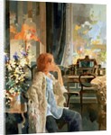 Veil of Elegance by Peter Miller