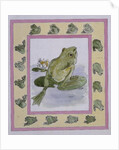 Frogs by Miranda Legard